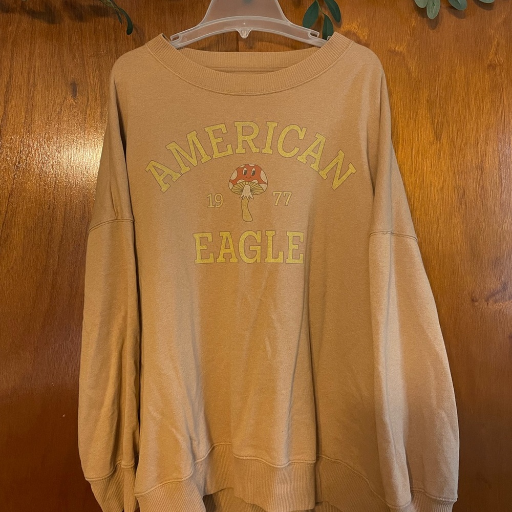 American Eagle Outfitters Tan Sweatshirt